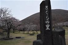 伊豆高原さくらの里と都内夜桜の旅 伊豆高原さくらの里と都内夜桜の旅
