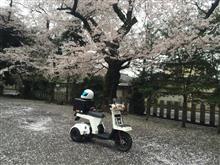 春の訪れ 春の訪れ