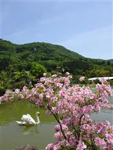 安近短な日帰り旅 其の二 安近短な日帰り旅 其の二