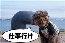 【東北シリーズ】ちょっとドッグランしてくるわ 3日目 【東北シリーズ】ちょっとドッグランしてくるわ 3日目