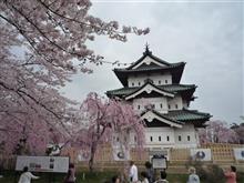 5泊6日 東北の桜見物 5泊6日 東北の桜見物