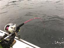 釣り接鯛ッ! 釣り接鯛ッ!