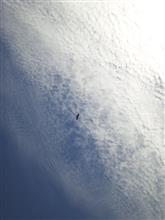 秋空 秋空