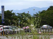 優雅に走れれば^^ 優雅に走れれば^^