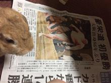 2016年 秋のいろいろ 2016年 秋のいろいろ