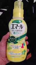 ホームクリーニング ホームクリーニング