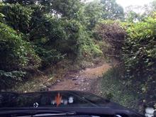 林道・・・、行きたいな・・・~ふらふらできてないな・・・~ 林道・・・、行きたいな・・・~ふらふらできてないな・・・~