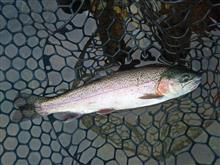秋の釣り 秋の釣り