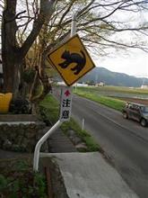 昨日の話 昨日の話
