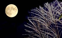秋の夜長 秋の夜長