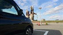とりあえず、現車で検証。 とりあえず、現車で検証。