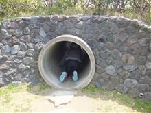 男の子の本能 男の子の本能