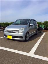 アヴィのデビューの結果 アヴィのデビューの結果