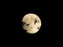十三夜 十三夜