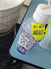 ソルティーライチ ソルティーライチ