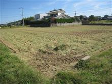 2回目の稲刈りと、コンバインの掃除、来年用に入れ替え☆彡 2回目の稲刈りと、コンバインの掃除、来年用に入れ替え☆彡