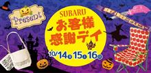 あっちゃこっちゃへ・・・? あっちゃこっちゃへ・・・?