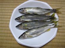 久しぶりでした 久しぶりでした