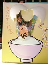 那須ハイに行って来ました~ 那須ハイに行って来ました~