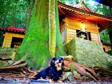 ゆずさんとお散歩 (オクシズへ遊びに) ゆずさんとお散歩 (オクシズへ遊びに)