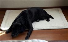 Weekend - 週末の出来事 Weekend - 週末の出来事