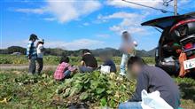 丹波大黒枝豆狩り デカンショ街道を行く 丹波大黒枝豆狩り デカンショ街道を行く