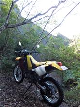 ちょっと近場の林道へ・・・・・到達? ちょっと近場の林道へ・・・・・到達?