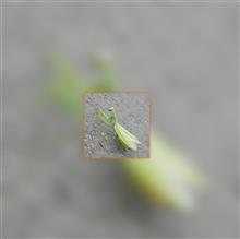 解析不能⁉︎? 解析不能⁉︎?