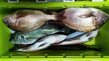 雨の中の釣り 雨の中の釣り