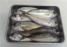 お魚天国 お魚天国