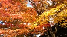 軽井沢紅葉 軽井沢紅葉