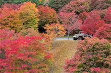 2016紅葉狩り④ もみじ湖・瀬戸峡(諏訪~箕輪~伊那~富士見) 2016紅葉狩り④ もみじ湖・瀬戸峡(諏訪~箕輪~伊那~富士見)