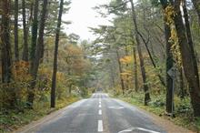 平日休みの最高の贅沢♪ 平日休みの最高の贅沢♪