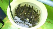 土日は 土日は