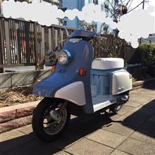 ジュリオ 購入 ジュリオ 購入