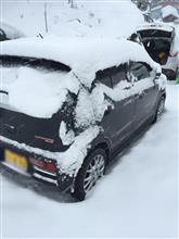 なかなかの大雪でした なかなかの大雪でした