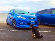 impact blue チバラキ TRG impact blue チバラキ TRG