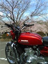振り替え休日に! 振り替え休日に!
