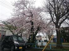 1ヶ月ぶりのブログ 1ヶ月ぶりのブログ
