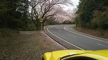 1年ぶりの箱根 1年ぶりの箱根