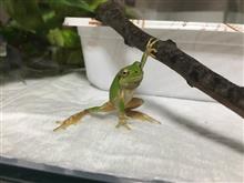 春は別れの季節でもあるのです 春は別れの季節でもあるのです