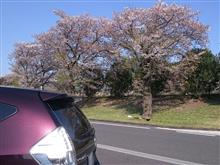 今日は車で移動! 今日は車で移動!