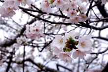 日曜日休み。 日曜日休み。