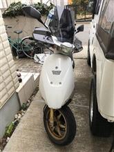 以外に目立たないらしく、 以外に目立たないらしく、