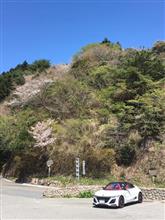 S660日和 ルーティン六甲山→にゅんさん捕獲 S660日和 ルーティン六甲山→にゅんさん捕獲