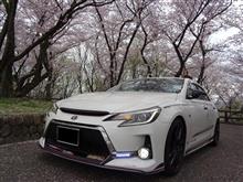 マークX G's全国オフに参加しました! マークX G's全国オフに参加しました!