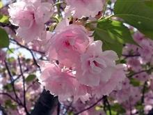 先週末は大失敗 先週末は大失敗