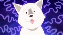 どっちが◯◯? どっちが◯◯?