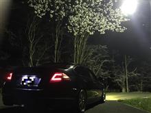 気づけば5月更新せねば! 気づけば5月更新せねば!