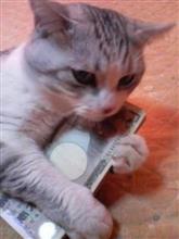 たのしいGW たのしいGW